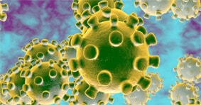 Concorda com o cancelamento de provas devido ao coronavirus?
